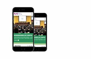 默克blog 高端網(wǎng)站建設案例 上海雍熙